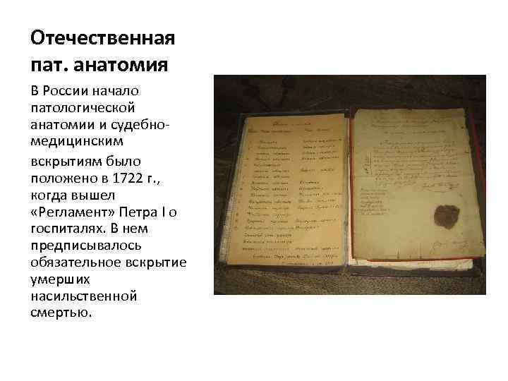 Отечественная пат. анатомия В России начало патологической анатомии и судебномедицинским вскрытиям было положено в