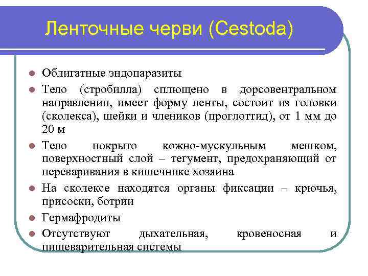 Ленточные черви (Сestoda) l l l Облигатные эндопаразиты Тело (стробилла) сплющено в дорсовентральном направлении,