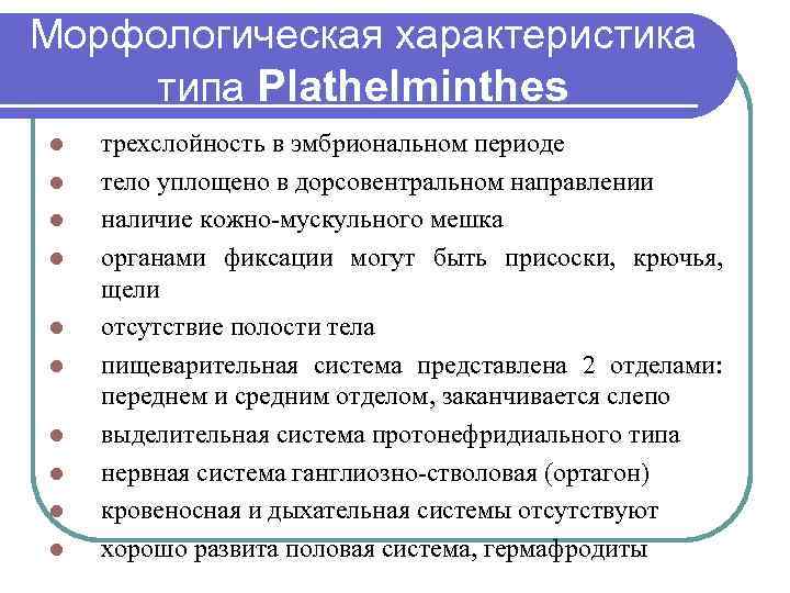 Морфологическая характеристика типа Plathelminthes l l l l l трехслойность в эмбриональном периоде тело