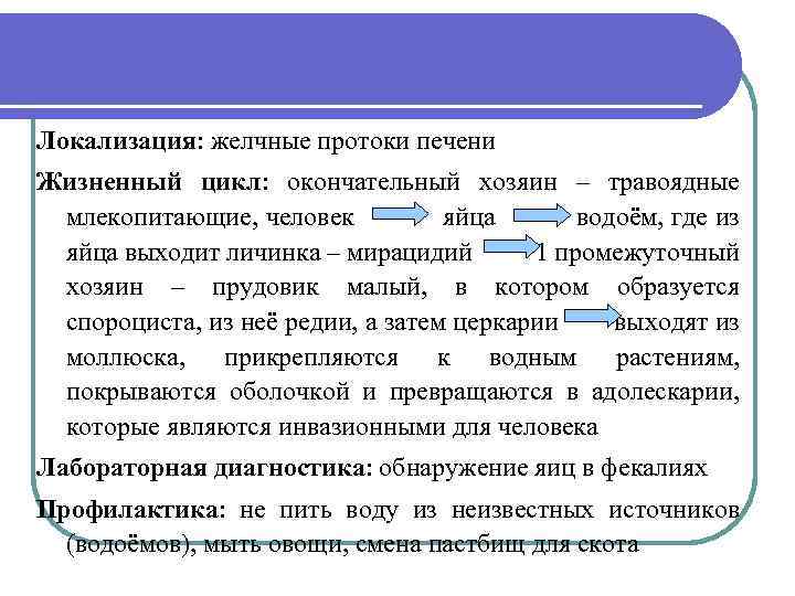 Локализация: желчные протоки печени Жизненный цикл: окончательный хозяин – травоядные млекопитающие, человек яйца водоём,