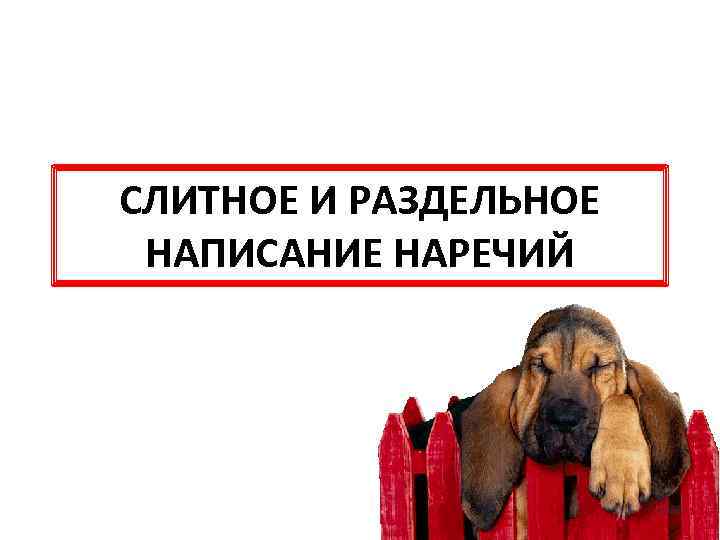 СЛИТНОЕ И РАЗДЕЛЬНОЕ НАПИСАНИЕ НАРЕЧИЙ 