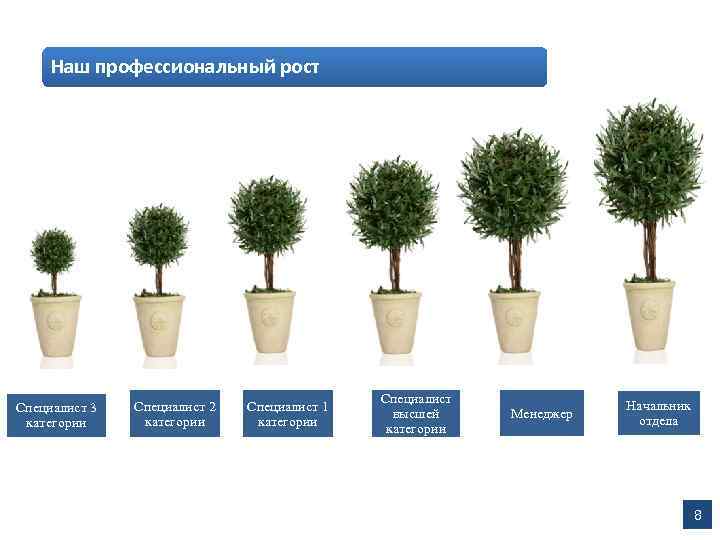 Наш профессиональный рост Специалист 3 категории Специалист 2 категории Специалист 1 категории Специалист высшей
