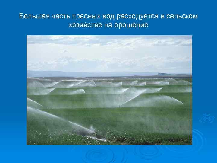 Большая часть пресных вод расходуется в сельском хозяйстве на орошение 