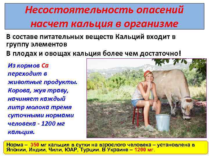 Несостоятельность опасений насчет кальция в организме В составе питательных веществ Кальций входит в группу