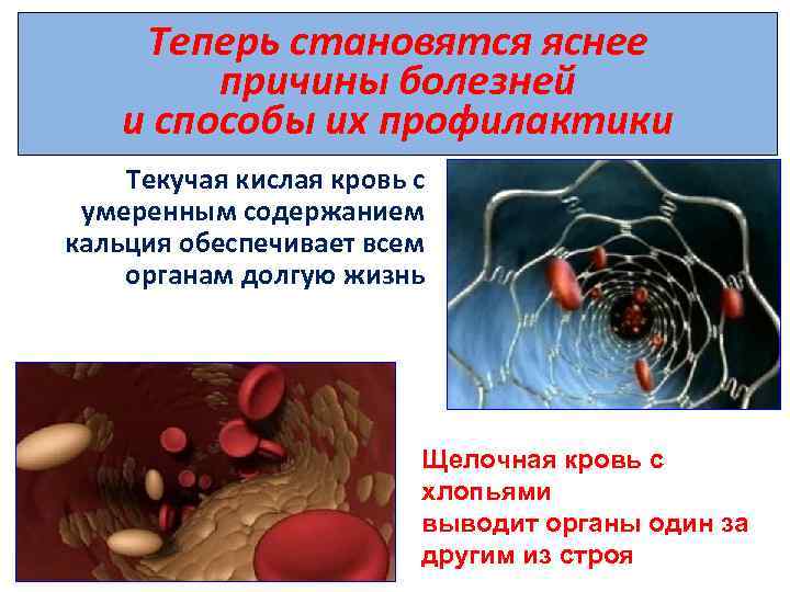 Теперь становятся яснее причины болезней и способы их профилактики Текучая кислая кровь с умеренным