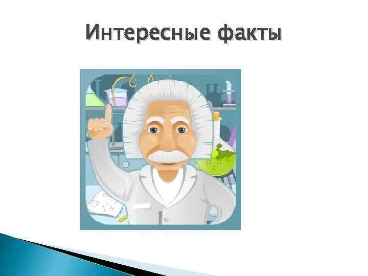 Интересные факты 