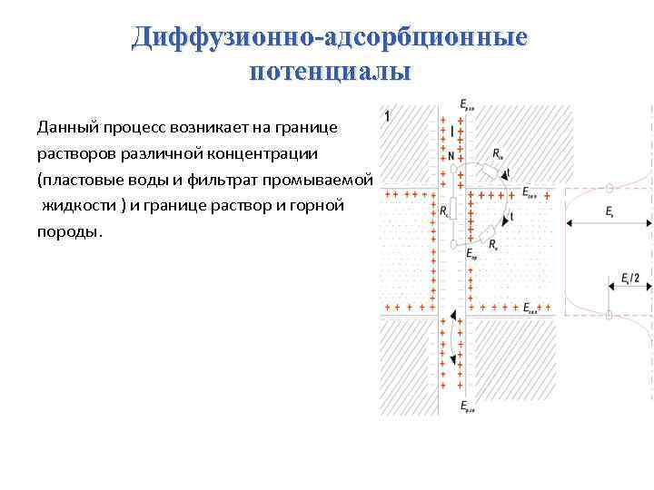 Диффузионно-адсорбционные потенциалы Данный процесс возникает на границе растворов различной концентрации (пластовые воды и фильтрат