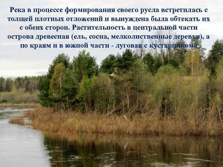 Река в процессе формирования своего русла встретилась с толщей плотных отложений и вынуждена была