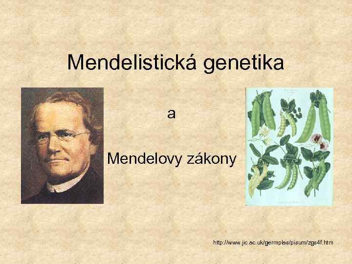 Mendelistická genetika a Mendelovy zákony http: //www. jic. ac. uk/germplas/pisum/zgs 4 f. htm 