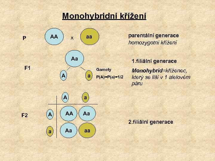 Monohybridní křížení P AA x parentální generace homozygotní křížení aa Aa 1. filiální generace