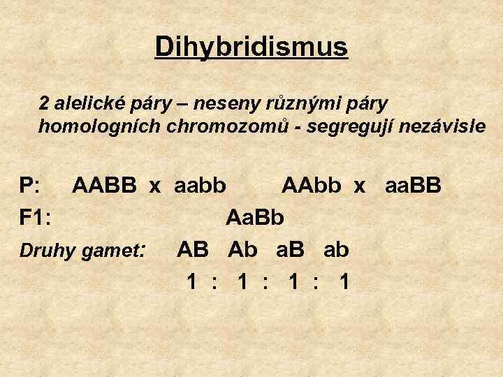 Dihybridismus 2 alelické páry – neseny různými páry homologních chromozomů - segregují nezávisle P: