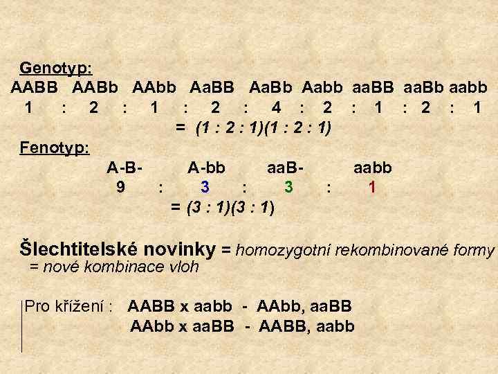 Genotyp: AABB AABb AAbb Aa. BB Aa. Bb Aabb aa. BB aa. Bb aabb