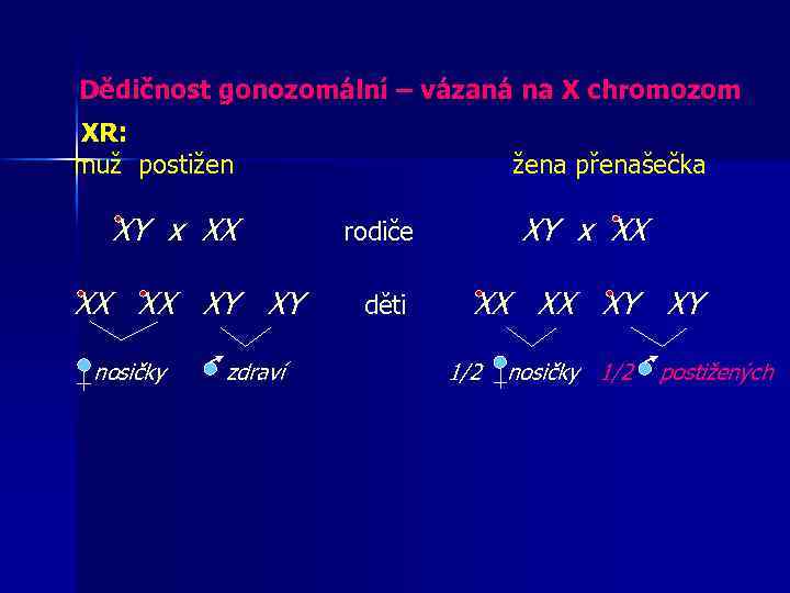Dědičnost gonozomální – vázaná na X chromozom XR: muž postižen žena přenašečka XY x