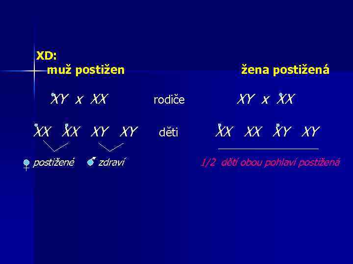  XD: muž postižen žena postižená XY x XX rodiče XY x XX XX