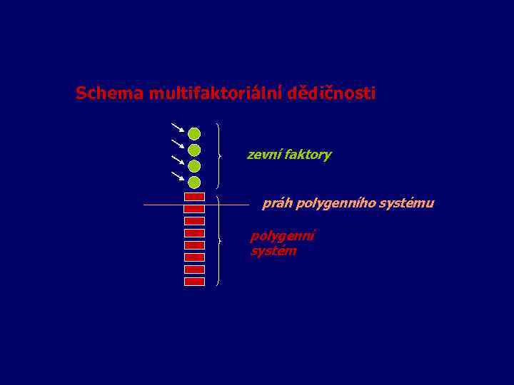 Schema multifaktoriální dědičnosti zevní faktory práh polygenního systému polygenní systém 