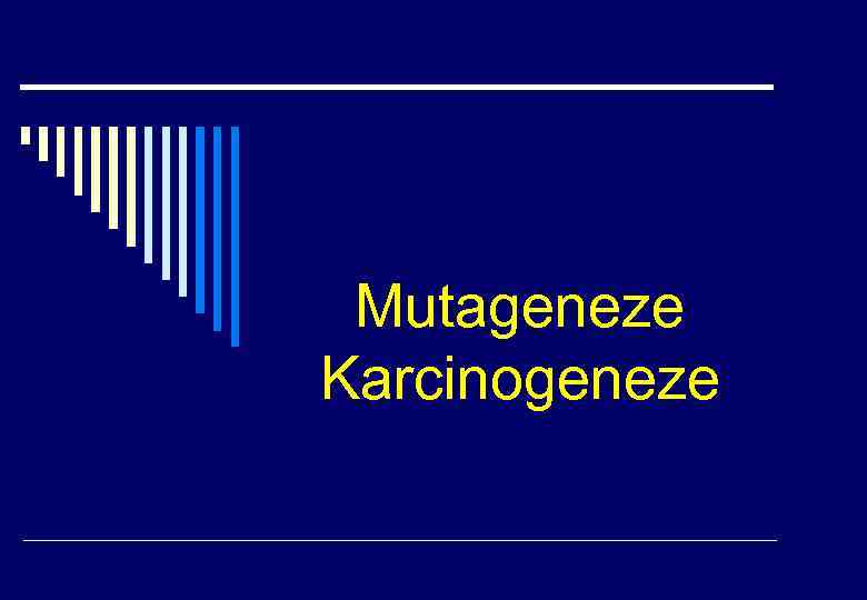 Mutageneze Karcinogeneze 