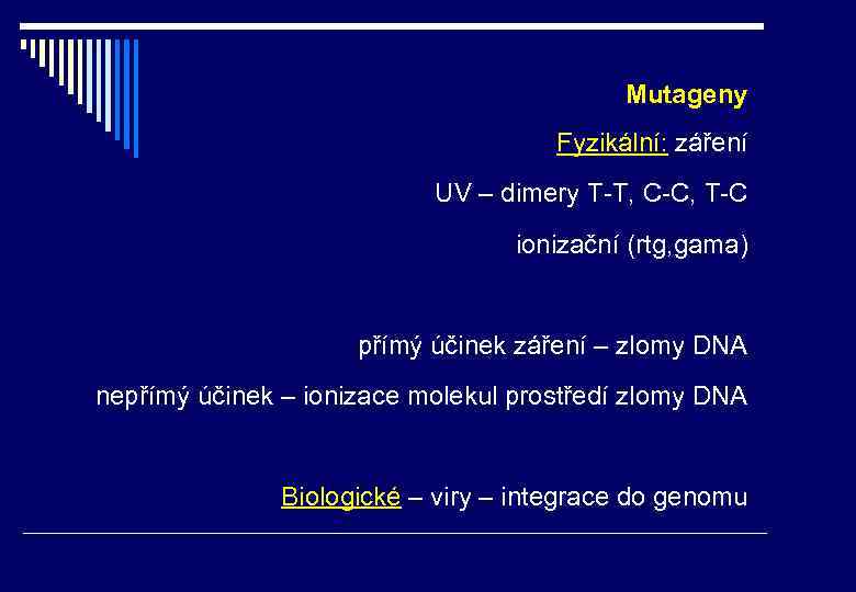 Mutageny Fyzikální: záření UV – dimery T-T, C-C, T-C ionizační (rtg, gama) přímý účinek
