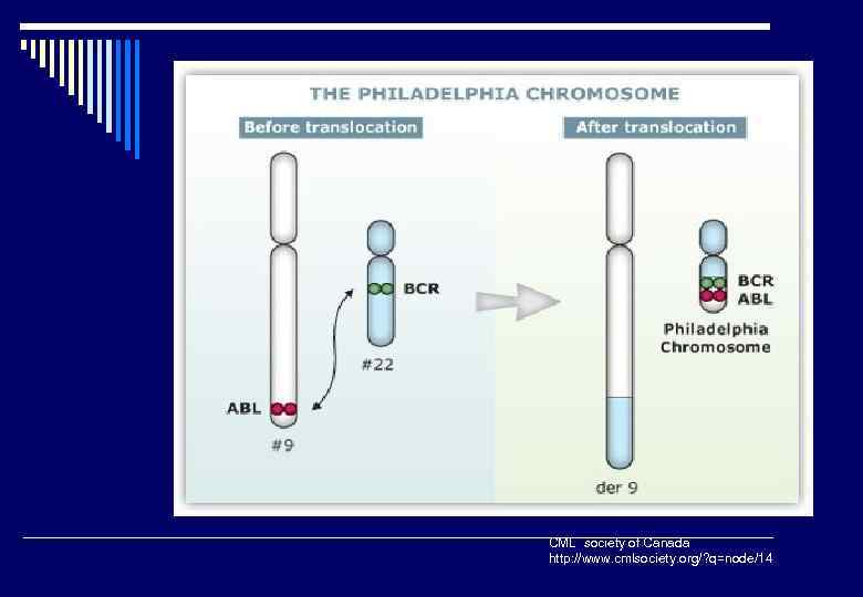 CML society of Canada http: //www. cmlsociety. org/? q=node/14 