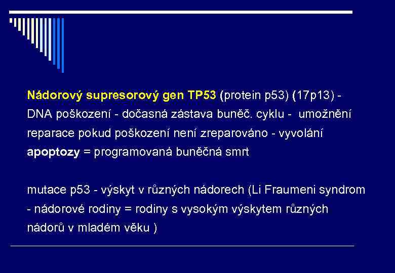 Nádorový supresorový gen TP 53 (protein p 53) (17 p 13) - DNA poškození
