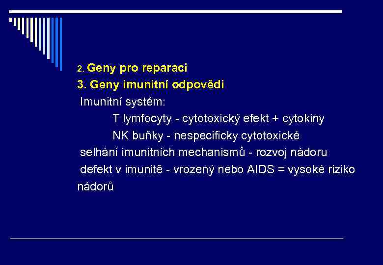 2. Geny pro reparaci 3. Geny imunitní odpovědi Imunitní systém: T lymfocyty - cytotoxický
