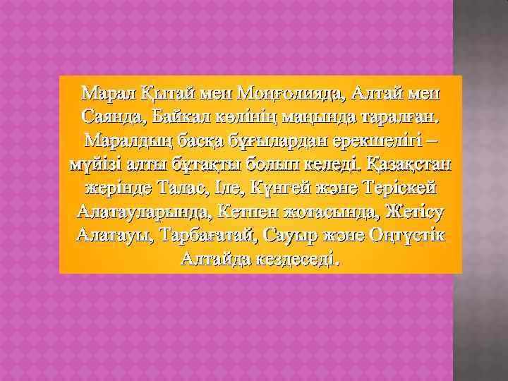 Марал Қытай мен Моңғолияда, Алтай мен Саянда, Байкал көлінің маңында таралған. Маралдың басқа бұғылардан