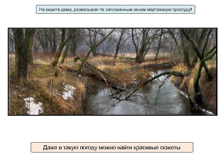 Не сидите дома, размазывая по заплаканным окнам мартовскую простуду! Даже в такую погоду можно
