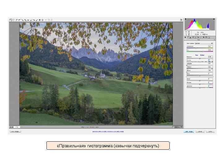  «Правильная» гистограмма (кавычки подчеркнуть) 
