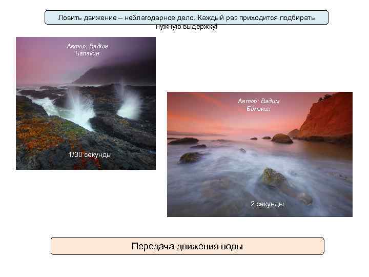 Ловить движение – неблагодарное дело. Каждый раз приходится подбирать нужную выдержку! Автор: Вадим Балакин