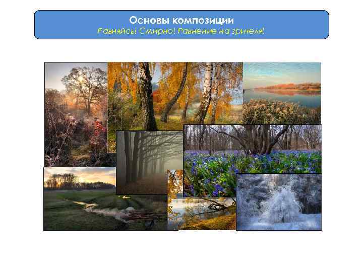 Основы композиции Равняйсь! Смирно! Равнение на зрителя! Золотое сечение. 