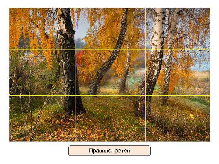 Правило третей 