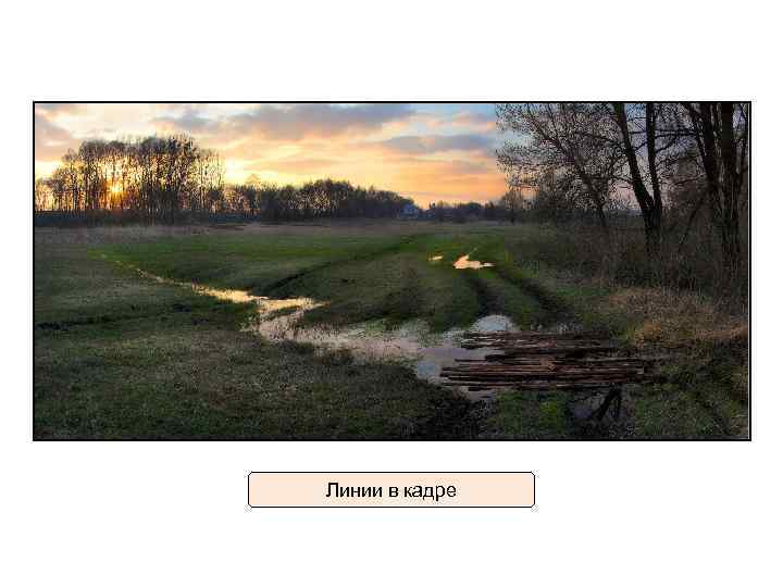 Линии в кадре 