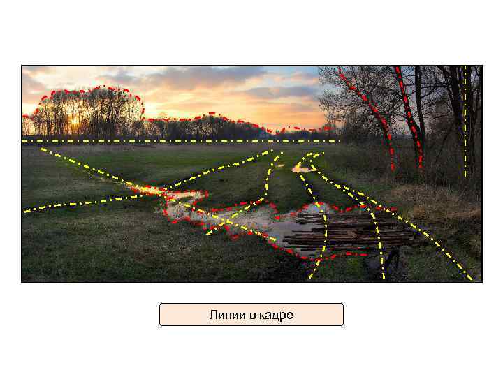 Линии в кадре 
