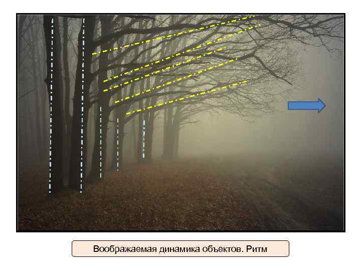Воображаемая динамика объектов. Ритм 
