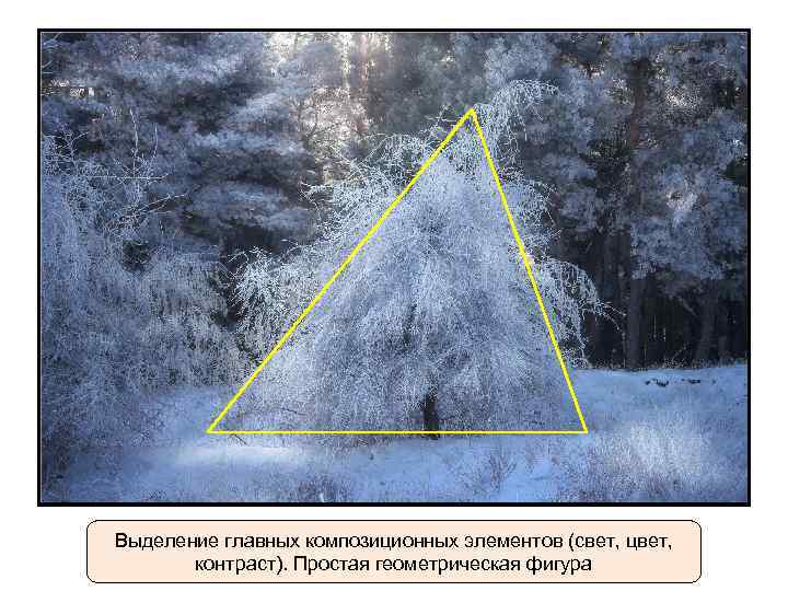 Выделение главных композиционных элементов (свет, цвет, контраст). Простая геометрическая фигура 