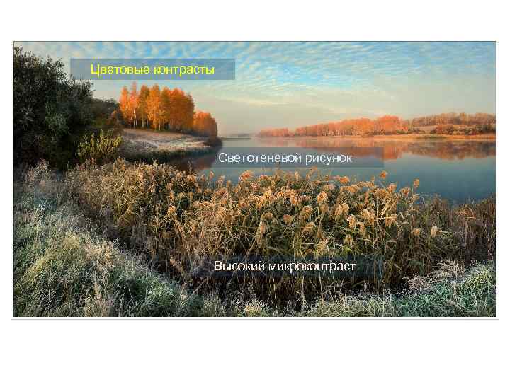 Цветовые контрасты Светотеневой рисунок Высокий микроконтраст 