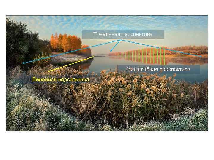 Тональная перспектива Масштабная перспектива Линейная перспектива 
