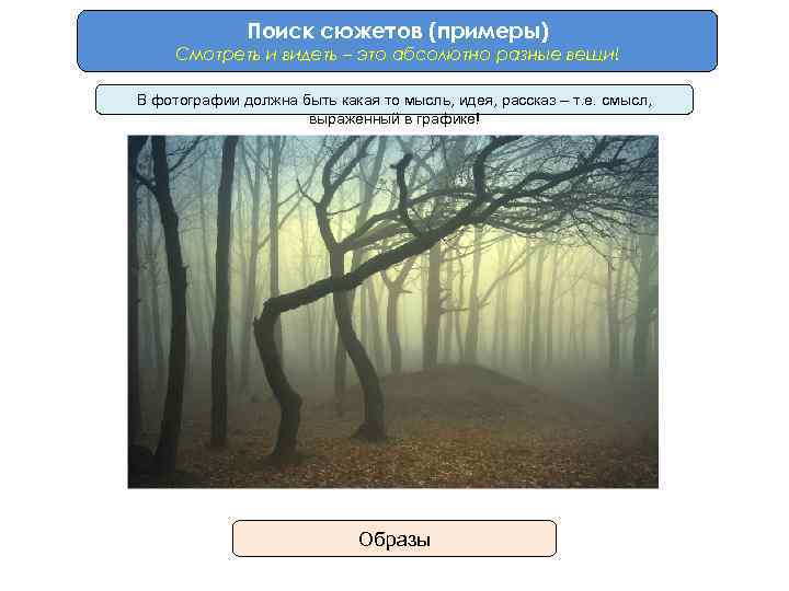 Поиск сюжетов (примеры) Смотреть и видеть – это абсолютно разные вещи! В фотографии должна