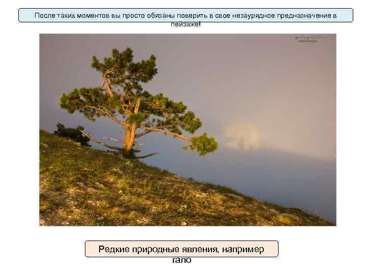 После таких моментов вы просто обязаны поверить в свое незаурядное предназначение в пейзаже! Редкие