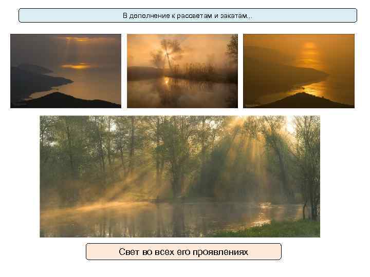 В дополнение к рассветам и закатам. . . Свет во всех его проявлениях 