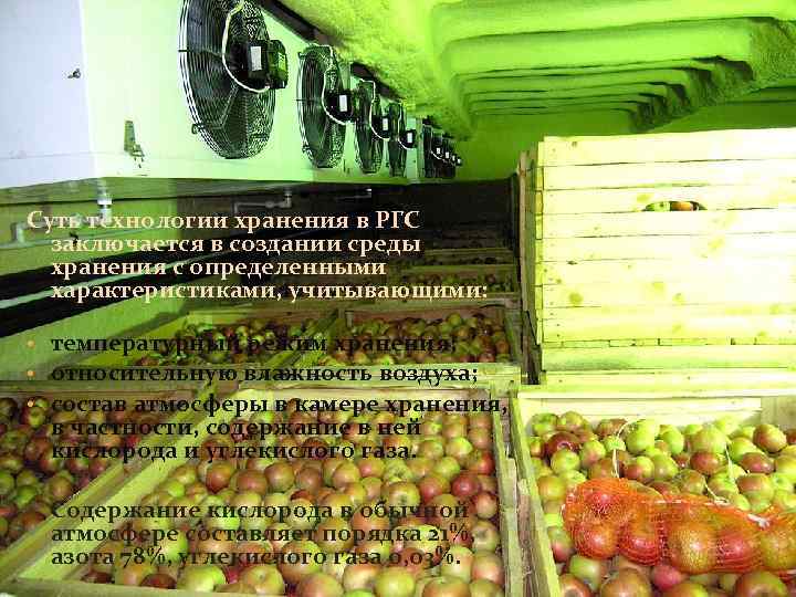 Суть технологии хранения в РГС заключается в создании среды хранения с определенными характеристиками, учитывающими: