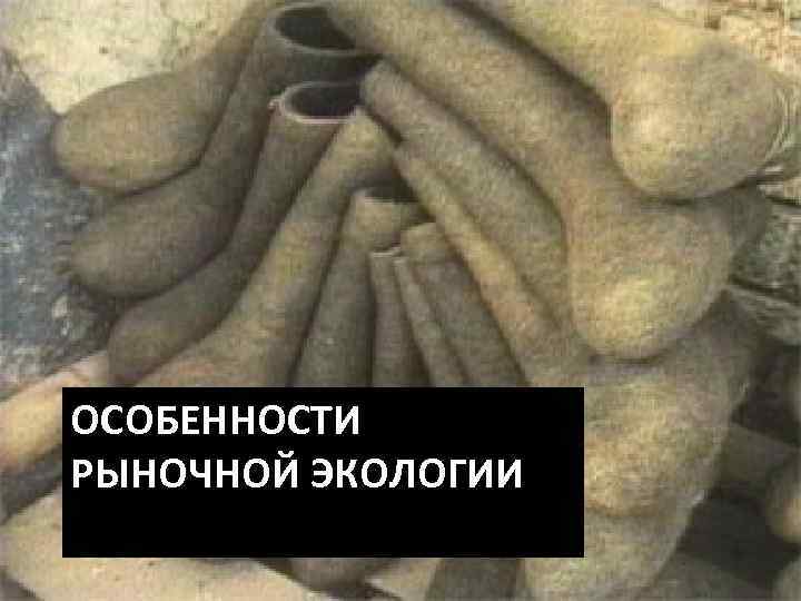 ОСОБЕННОСТИ РЫНОЧНОЙ ЭКОЛОГИИ 