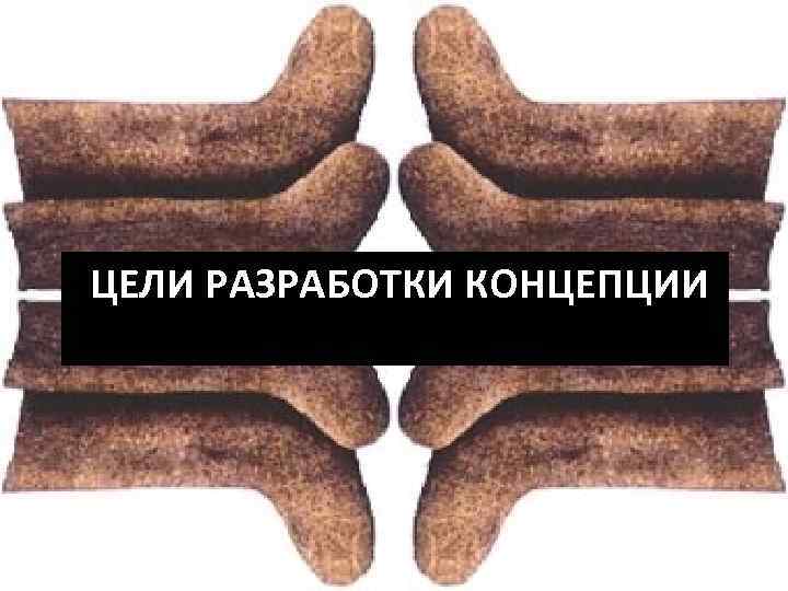 ЦЕЛИ РАЗРАБОТКИ КОНЦЕПЦИИ 