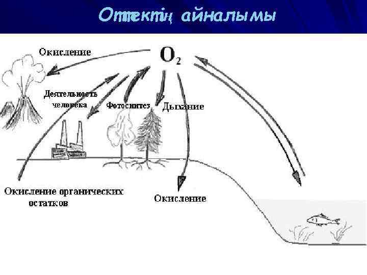 Оттектің айналымы 