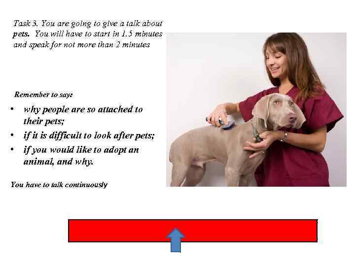 Task 3. You are going to give a talk about pets. You will have