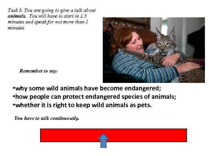 Task 3. You are going to give a talk about animals. You will have