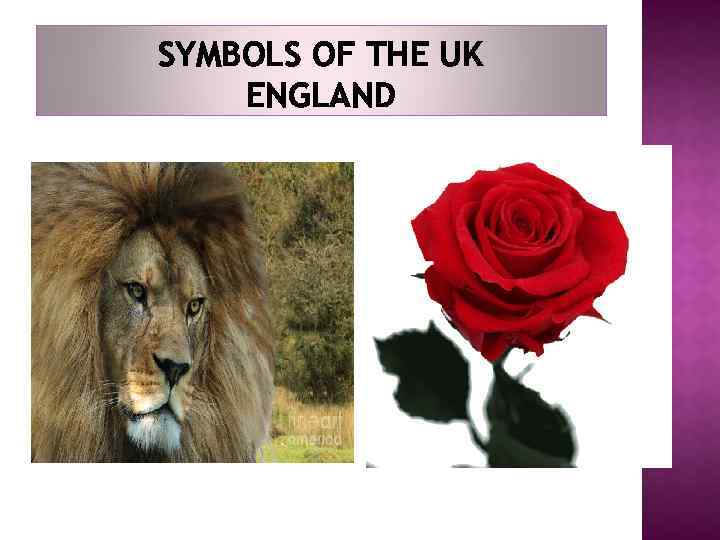 SYMBOLS OF THE UK ENGLAND 