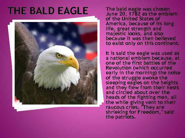 THE BALD EAGLE The bald eagle was chosen June 20, 1782 as the emblem