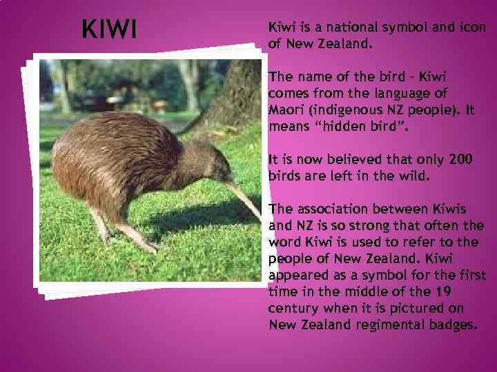 KIWI Kiwi is a national symbol and icon of New Zealand. The name of