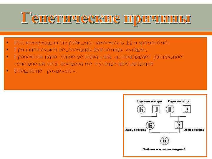 Генетические причины • Ген, кодирующий эту реакцию, находится в 12 -й хромосоме. • Причиной