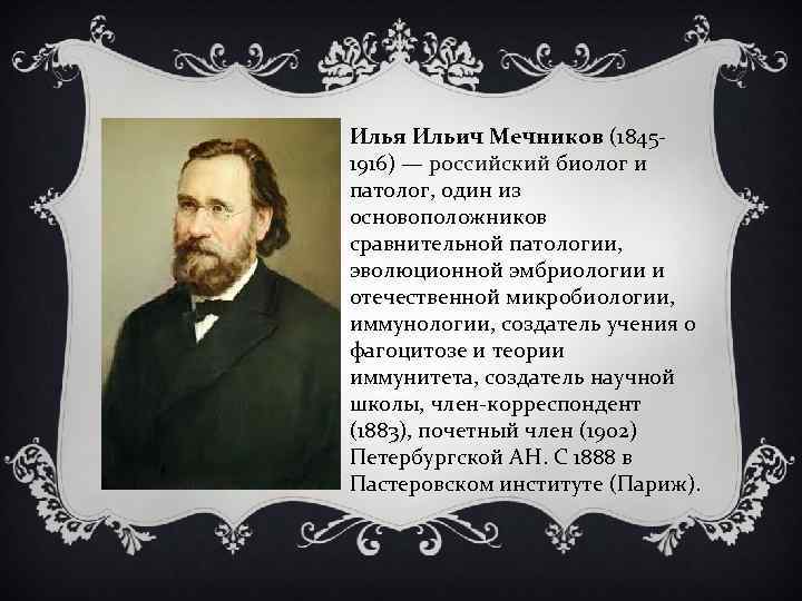 Илья Ильич Мечников (18451916) — российский биолог и патолог, один из основоположников сравнительной патологии,